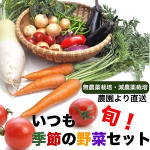無農薬野菜のランキングtop100 人気売れ筋ランキング Yahoo ショッピング