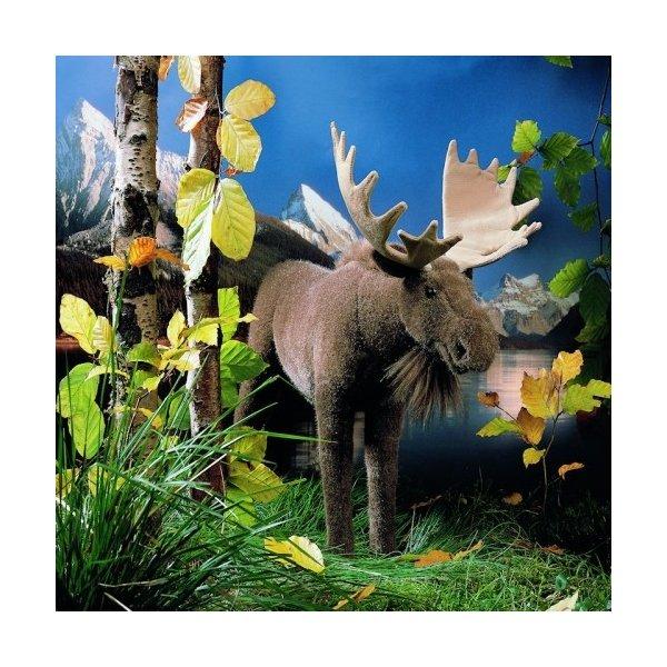 ケーセン ぬいぐるみ kosen ムース（ヘラジカ）  44cm Moose  リアル 動物
