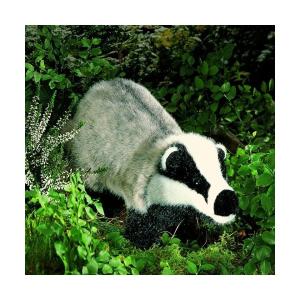 ケーセン ぬいぐるみ Kosen オオヤマネコの子 (座り) 23cm Lynx Cub