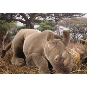 ケーセン ぬいぐるみ Kosen いのししの子 (大) 30cm Wild Boar Piglet