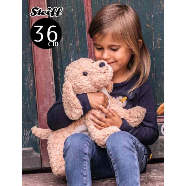 シュタイフ テディベア ゴールデンドゥードル ean 067075 36cm Steiff Bern...