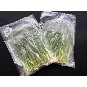 行者ニンニク 葉・北海道産1kg(250g×4...の詳細画像3