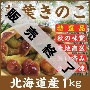 落葉きのこ 北海道産 天然1kg(200g×5袋) 生冷凍 らくようきのこ