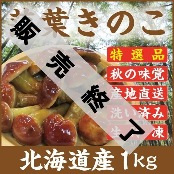 落葉きのこ 北海道産 天然1kg(200g×5袋) 生冷凍 らくようきのこ ハナイグチ　2023年度...
