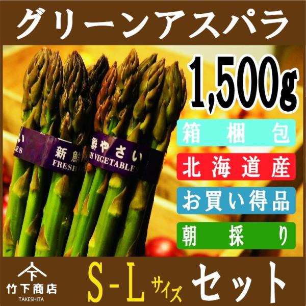 アスパラ グリーン アスパラガス 北海道産 1,500g S-Lサイズ 2025年度産
