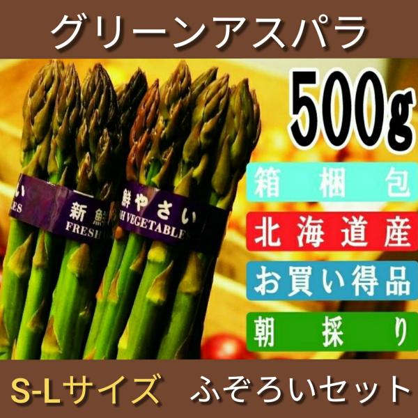 アスパラ グリーン アスパラガス 北海道産 500g S-Lサイズ 2025年度商品