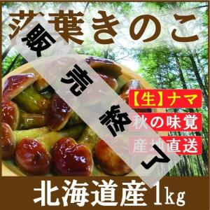 落葉きのこ 生 1kg 北海道産 天然 らくようきのこ ハナイグチ