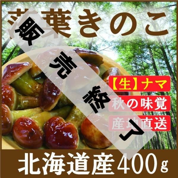 落葉きのこ 生 400g 北海道産 天然 らくようきのこ ハナイグチ　2023年度産