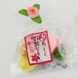 引越し 挨拶プチギフト プチふるーつ（ご挨拶・よろしくお願いします）100個入り まとめ買い