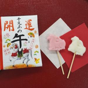 京都 宇治名物 宇治抹茶飴 お徳用 E 001 京の飴工房岩井製菓 通販 Yahoo ショッピング