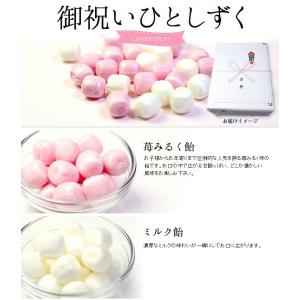 業務用 キャンディー 飴菓子 送料無料 お試し...の詳細画像5