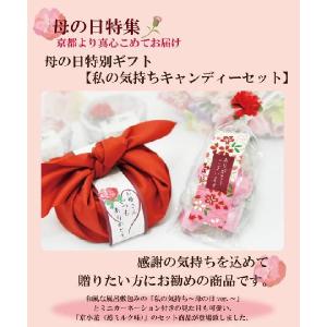 母の日ギフト 私の気持ちカーネーションキャンデ...の詳細画像1