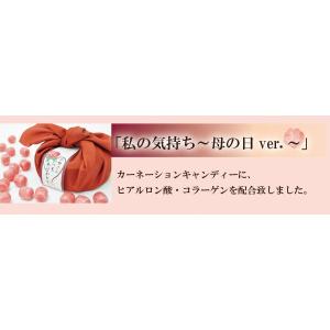 母の日ギフト 私の気持ちカーネーションキャンデ...の詳細画像2