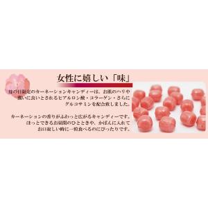 母の日ギフト 私の気持ちカーネーションキャンデ...の詳細画像3