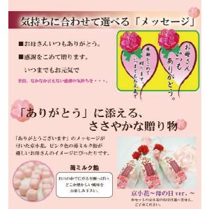 母の日ギフト 私の気持ちカーネーションキャンデ...の詳細画像4