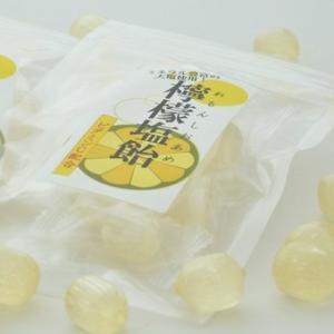 業務用!!　レモン塩飴（レモン塩あめ）『食べきりサイズ』便利なチャック付☆ 200袋入り｜iwaiseika
