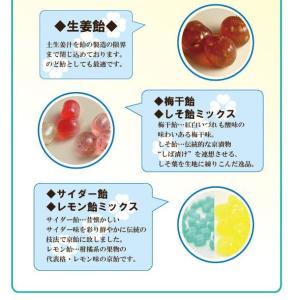 退職 転勤 お菓子 プチギフト プチ選べる京飴...の詳細画像4