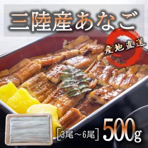 三陸産 あなご 500g (約3~6尾) 国産 三陸の海で身を締めた逸品