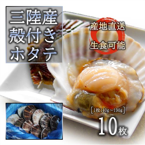 生食OK 三陸産 殻付きホタテ 10枚 世界三大漁場 宮城 新鮮 濃厚な旨味 亜鉛 ビタミン タウリ...