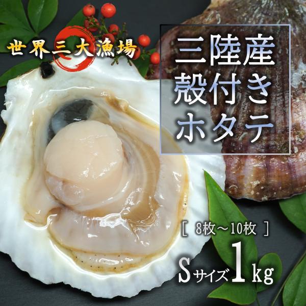 生食OK 三陸産 殻付きホタテ Sサイズ 1kg (8〜10枚) 世界三大漁場 宮城 新鮮 濃厚な旨...