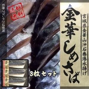 さば 宮城県三陸産 金華しめさば 3枚セット 送料無料 ブランド鯖 こだわり製法 特大サバ 金華育ち