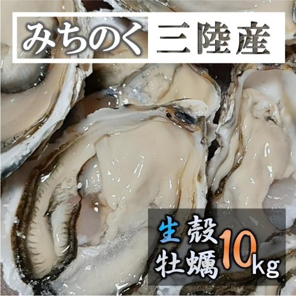 生食 OK カキ みちのく三陸産 殻付き牡蠣 10kg 送料無料 亜鉛 アミノ酸 新鮮 宮城 産地直...