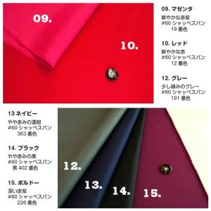 布 生地 和柄 レジ袋 エコバッグ 入園 入学...の詳細画像3