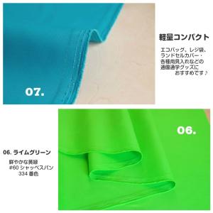 布 生地 和柄 レジ袋 エコバッグ 入園 入学...の詳細画像4