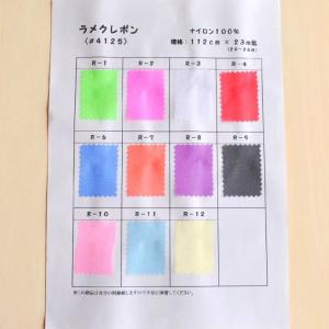 布 生地 オーガンジー キラキラ クリスマス 飾りつけコスプレ マーチング フラッグ シースルー 色合いや生地感の事前確認 保存用にラメクレポン サンプル帳