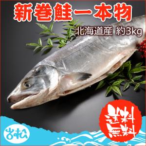 2023年新物！北海道産 新巻鮭一本物 約3.0kg 送料無料 ...