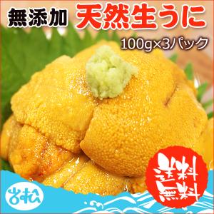 生ウニ100g×3パック 無添加 天然物 送料無料...
