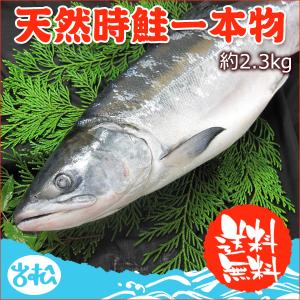 好評につき完売いたしました。天然時鮭 一本物 約2.3kg 送料無料 お取り寄せグルメ ギフト｜iwamatsu-salmon