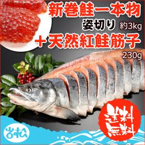 2023年新物！北海道産 新巻鮭一本物 姿切り 天然紅鮭筋...
