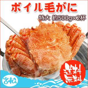 非表示 好評につき完売いたしました。毛がに 特大 約500g 2杯 ボイル 毛ガニ 北海道 国産 送料無料 1kg