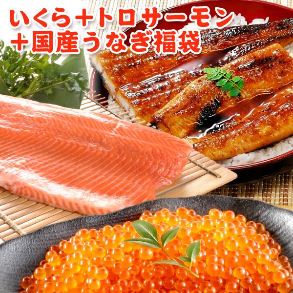 いくら 醤油漬け アラスカ 200g トロサーモン 半身 約800g 国産うなぎ蒲焼き200g 送料...
