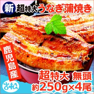 鹿児島産 新 超特大 国産 うなぎ蒲焼き 約250g×4尾 送料無料 海鮮 プレゼント グルメ ギフト