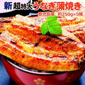鹿児島産 新 超特大 国産 うなぎ蒲焼き 約250g×5尾  海鮮