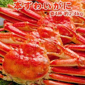 好評につき完売いたしました。本 ズワイガニ 姿 約1.2kg×2個 4杯  特大 ボイル ずわいがに ずわい蟹 ズワイ蟹 送料無料 ★数量限定