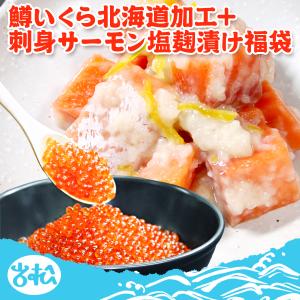 非表示 好評につき完売いたしました。鱒いくら 北海道加工200g 刺身サーモン塩麹漬け 200g 福袋 送料無料 海鮮 ギフト海鮮おせち