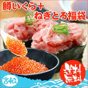 鱒いくら 250g ねぎとろ 200g 福袋  海鮮 ギフト 海鮮セット