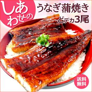 非表示 好評につき完売いたしました。しあわせのうなぎ蒲焼き 超ド級特大 約900g（約300g×3尾） 中国産 送料無料 お取り寄せグルメ 土用丑の日