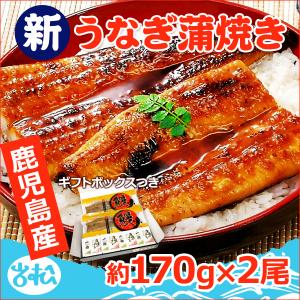 鹿児島産 新 国産 うなぎ蒲焼き 約170g×2...の商品画像