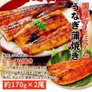 鹿児島産 新 国産 うなぎ蒲焼き 約170g×...の詳細画像1