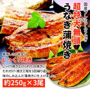 鹿児島産 新 超特大 国産 うなぎ蒲焼き 約2...の詳細画像1