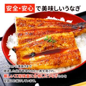 鹿児島産 新 超特大 国産 うなぎ蒲焼き 約2...の詳細画像3