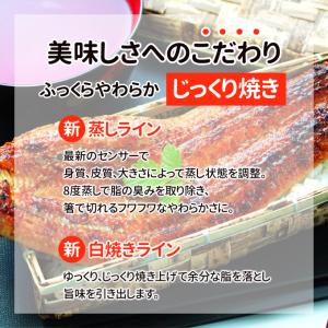 鹿児島産 新 超特大 国産 うなぎ蒲焼き 約2...の詳細画像4