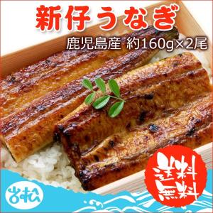 うなぎ 蒲焼 国産 送料無料 新仔 約160g 2尾 お取り寄せグルメ｜iwamatsu-salmon