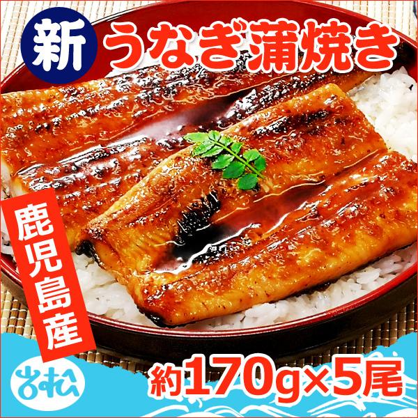 鹿児島産 新 国産 うなぎ蒲焼き 約170g×5尾 送料無料 お取り寄せグルメ 海鮮 プレゼント グ...