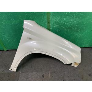 エクストレイル LDA-DNT31 右Fフェンダー QX1  F3100-JG0EA