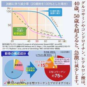 【塗るプロテオグリカン】リフリーラ グルコサミ...の詳細画像4